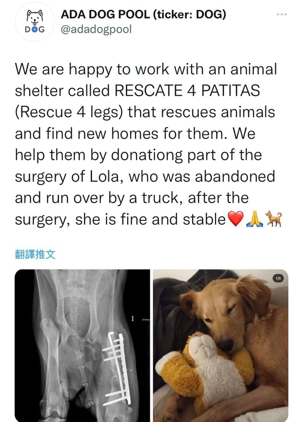 Pariah's Dog Charity twitter